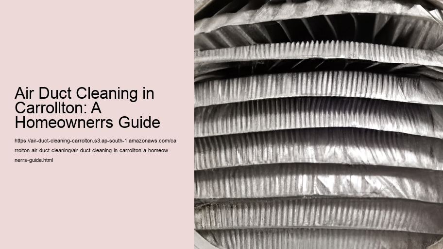 Air Duct Cleaning in Carrollton: A Homeownerrs Guide