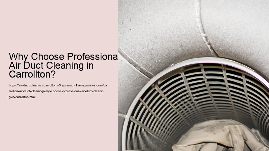 Why Choose Professional Air Duct Cleaning in Carrollton?